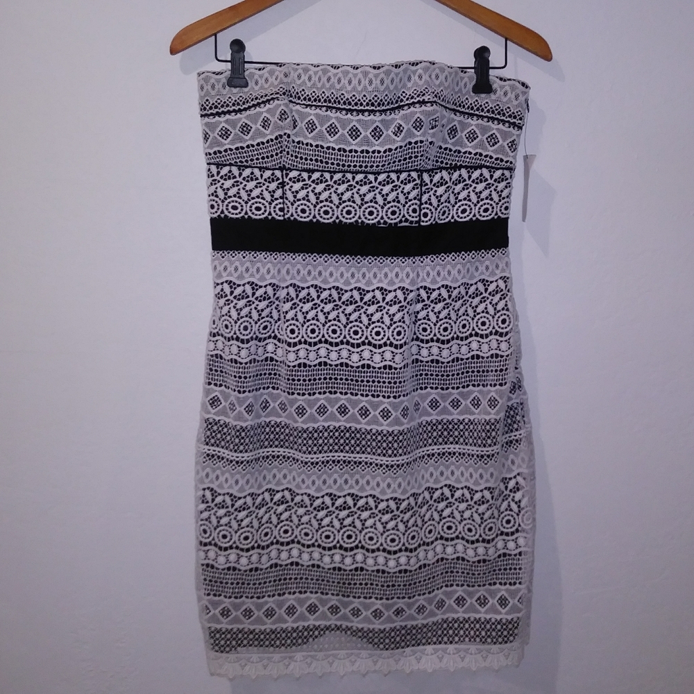 NWT Cynthia Steffe Trudy Embroidered Eyelet Dress - Picture 3 of 7